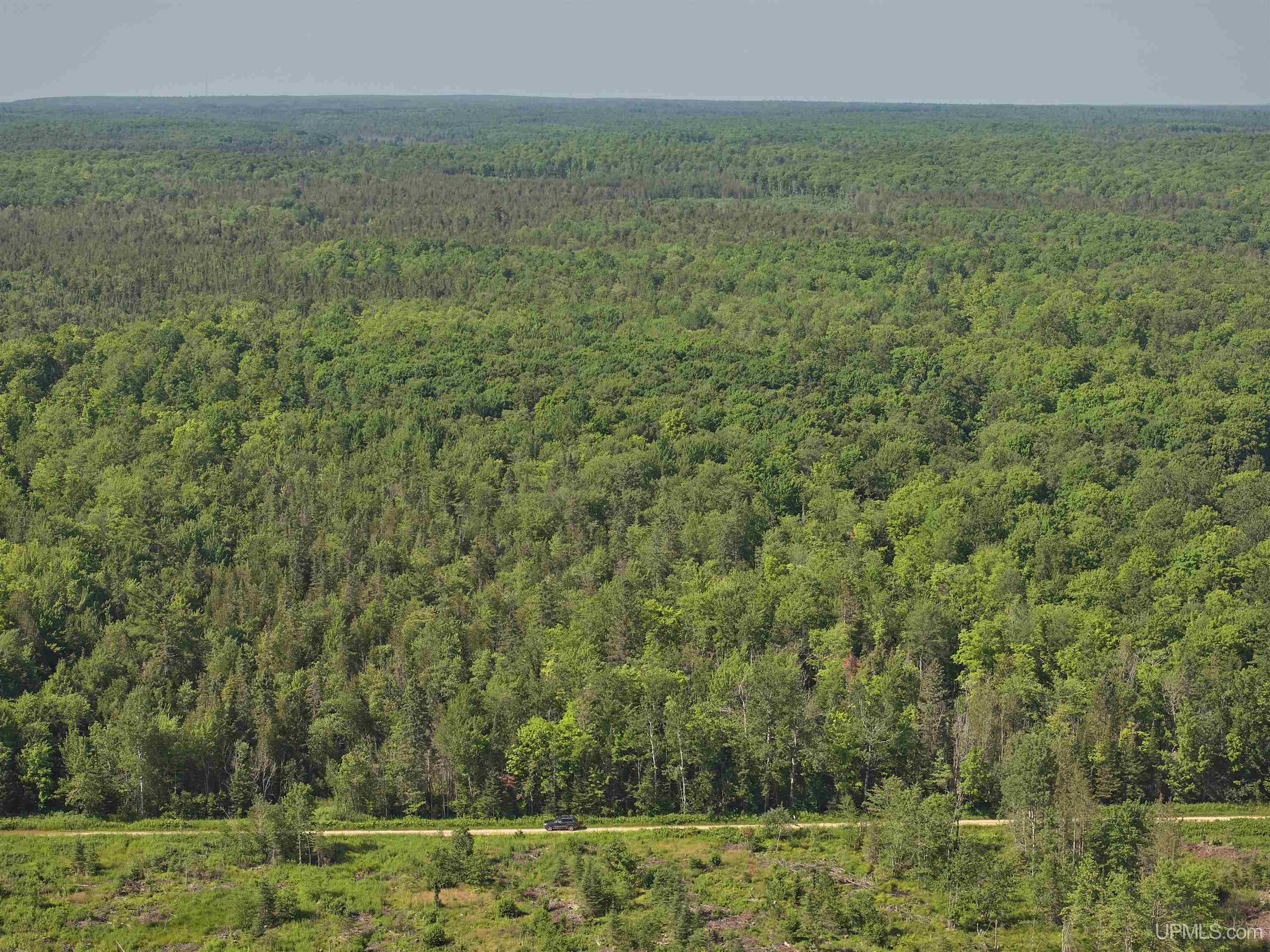 E968 McAfee Road Trenary, MI 49891 - Photo 2 of 19