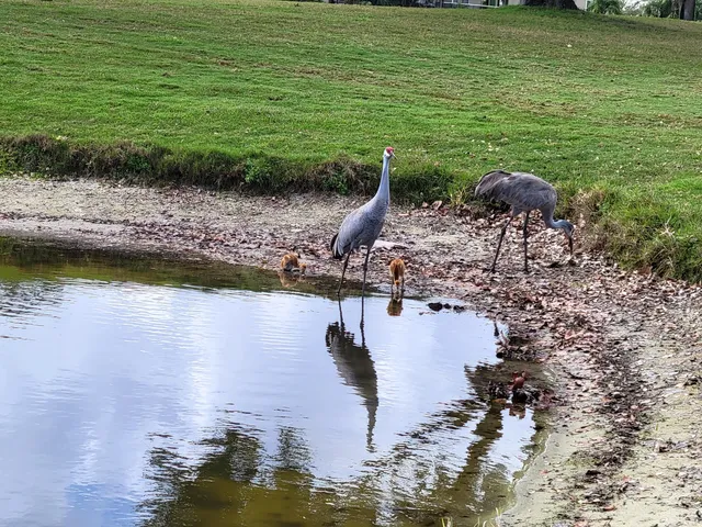 $229,000 | 9259 Southeast Riverfront Terrace, Unit L, Jupiter, FL 33469