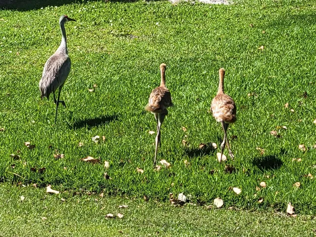 $229,000 | 9259 Southeast Riverfront Terrace, Unit L, Jupiter, FL 33469