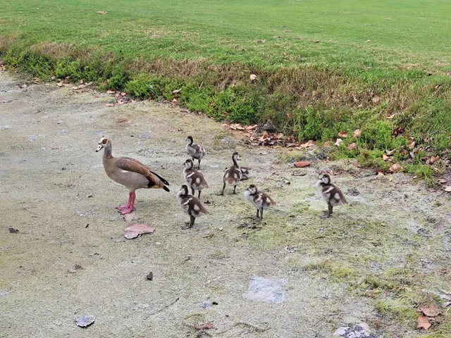 $229,000 | 9259 Southeast Riverfront Terrace, Unit L, Jupiter, FL 33469