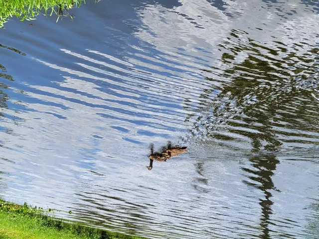 $229,000 | 9259 Southeast Riverfront Terrace, Unit L, Jupiter, FL 33469