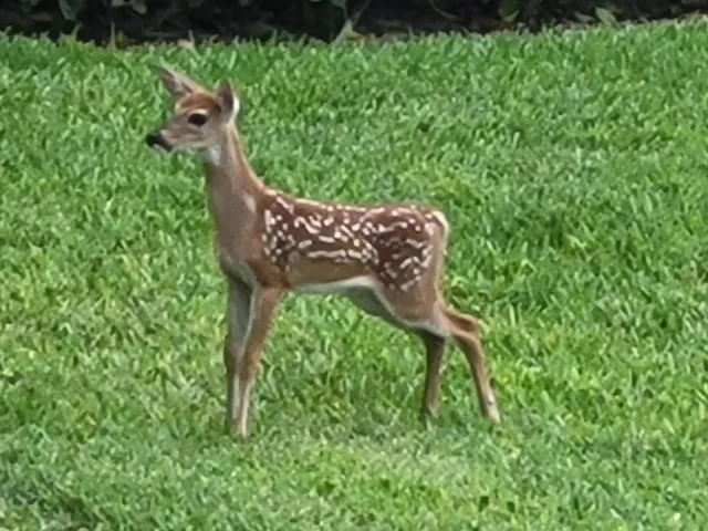 $229,000 | 9259 Southeast Riverfront Terrace, Unit L, Jupiter, FL 33469