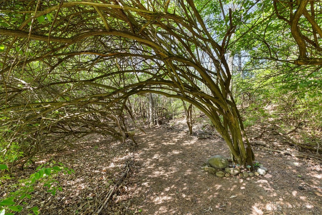 841 Willow Road Springfield, OH 45502 - Photo 47 of 64 Discover a tranquil pathway winding through lush, natural surroundings, perfect for serene strolls.