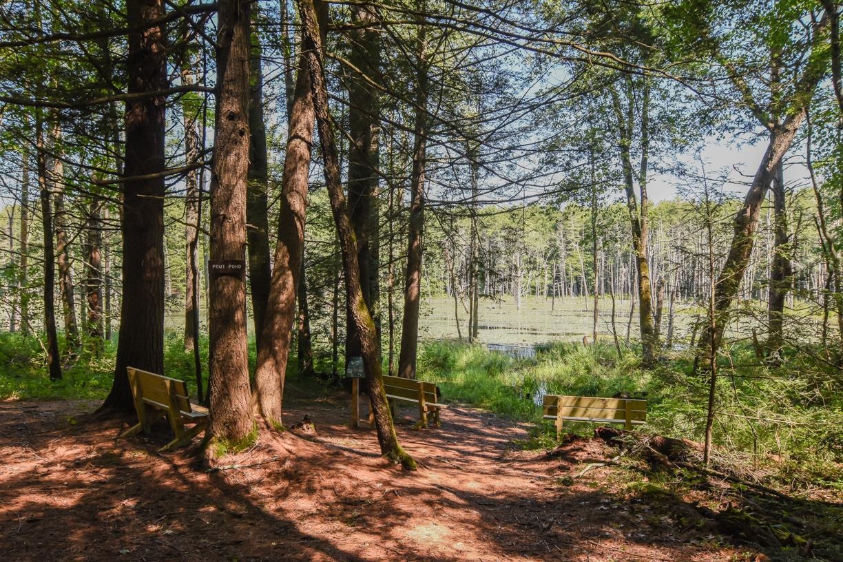 22 Sargent Road Brookline, NH 03033 - Photo 58 of 59