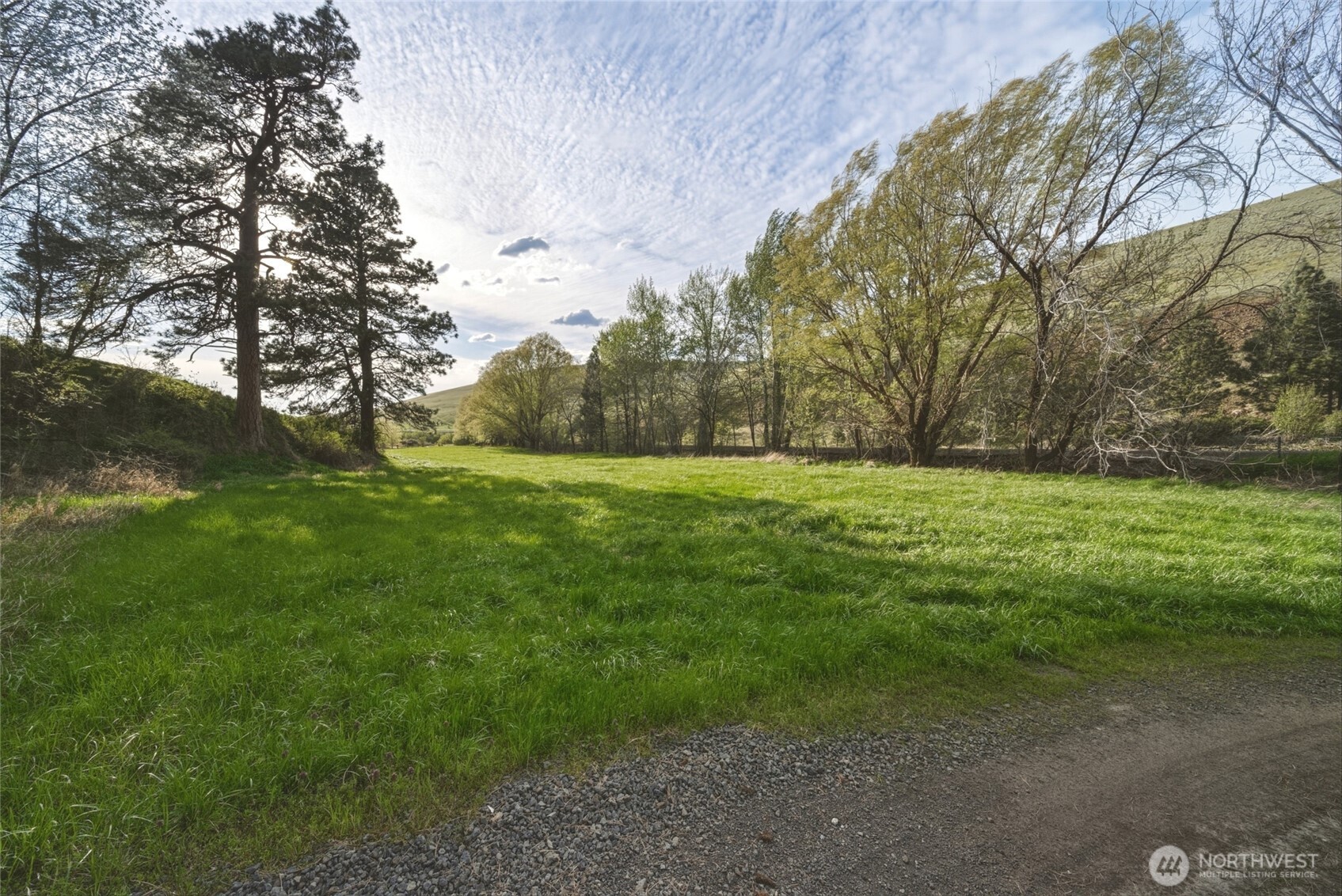 938 Patit Road Dayton, WA 99328 - Photo 23 of 31