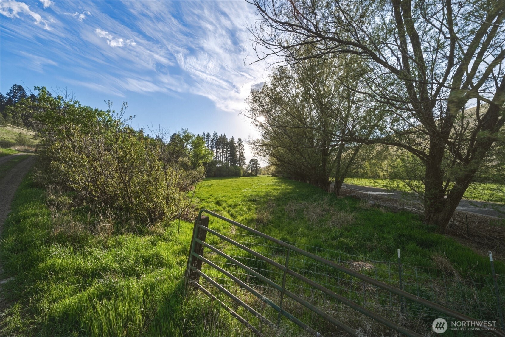 938 Patit Road Dayton, WA 99328 - Photo 25 of 31