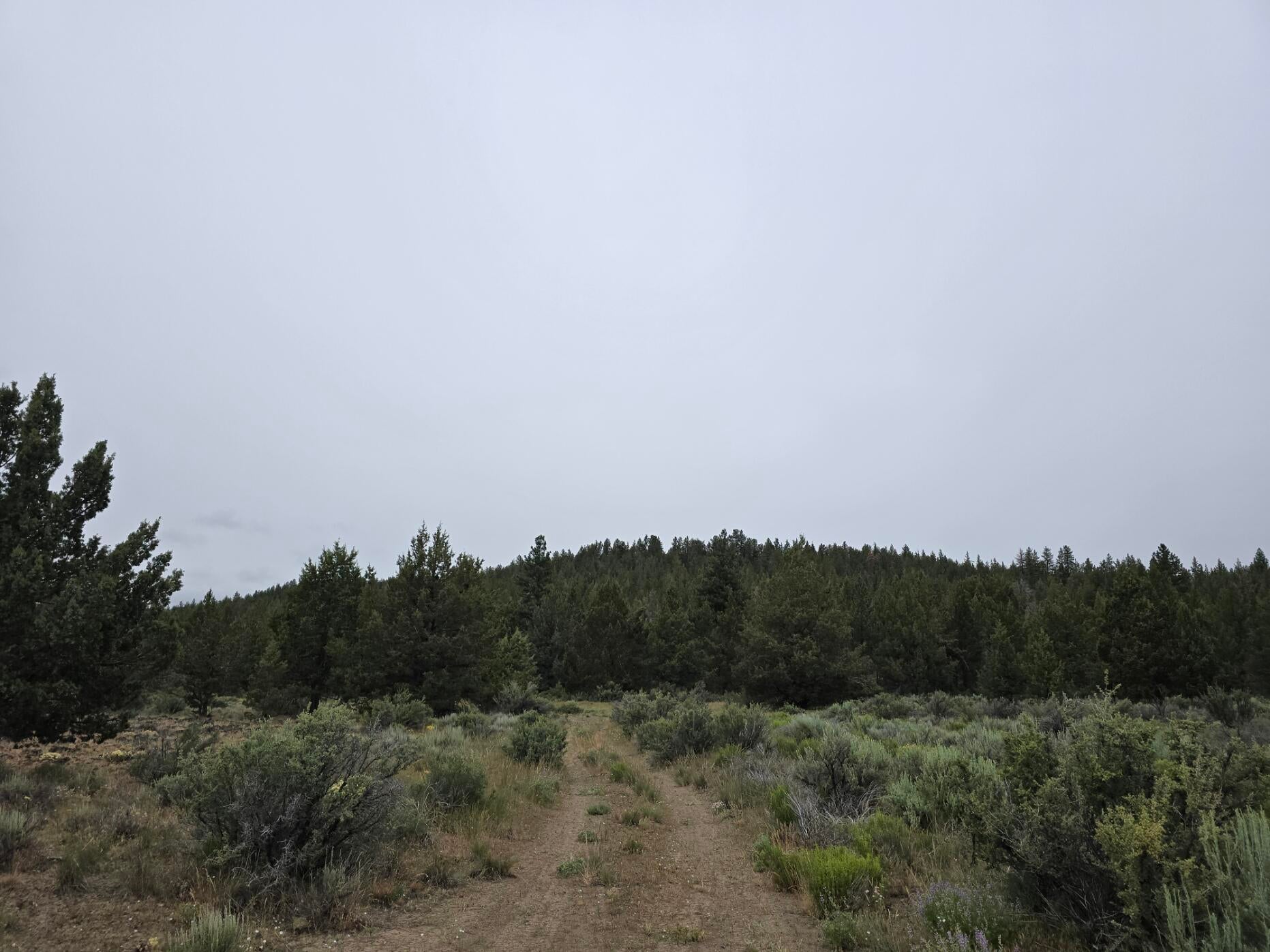 Area Photo