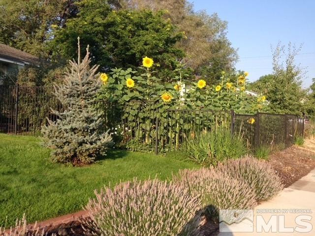 895 Lodge Avenue Reno, NV 89503 - Photo 11 of 28 a view of a lake with a garden
