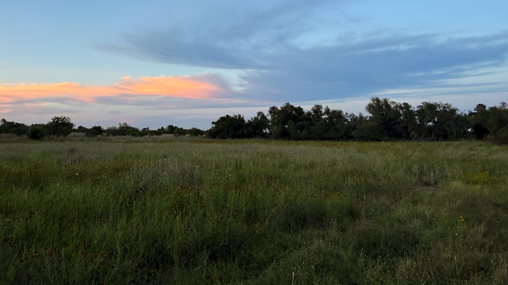 Lot #9 Slate Rock Road, Unit 9 Fredericksburg, TX 78624 - Photo 10 of 16