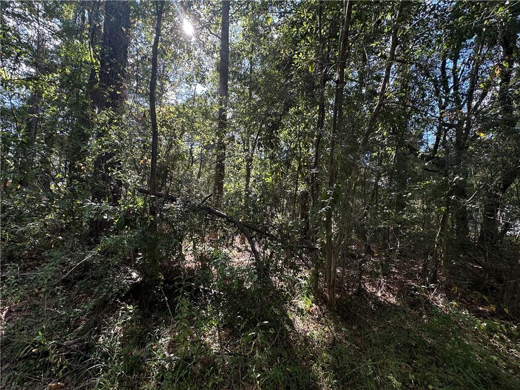 Lot 36 Carnation Street Covington, LA 70435 - Photo 2 of 5