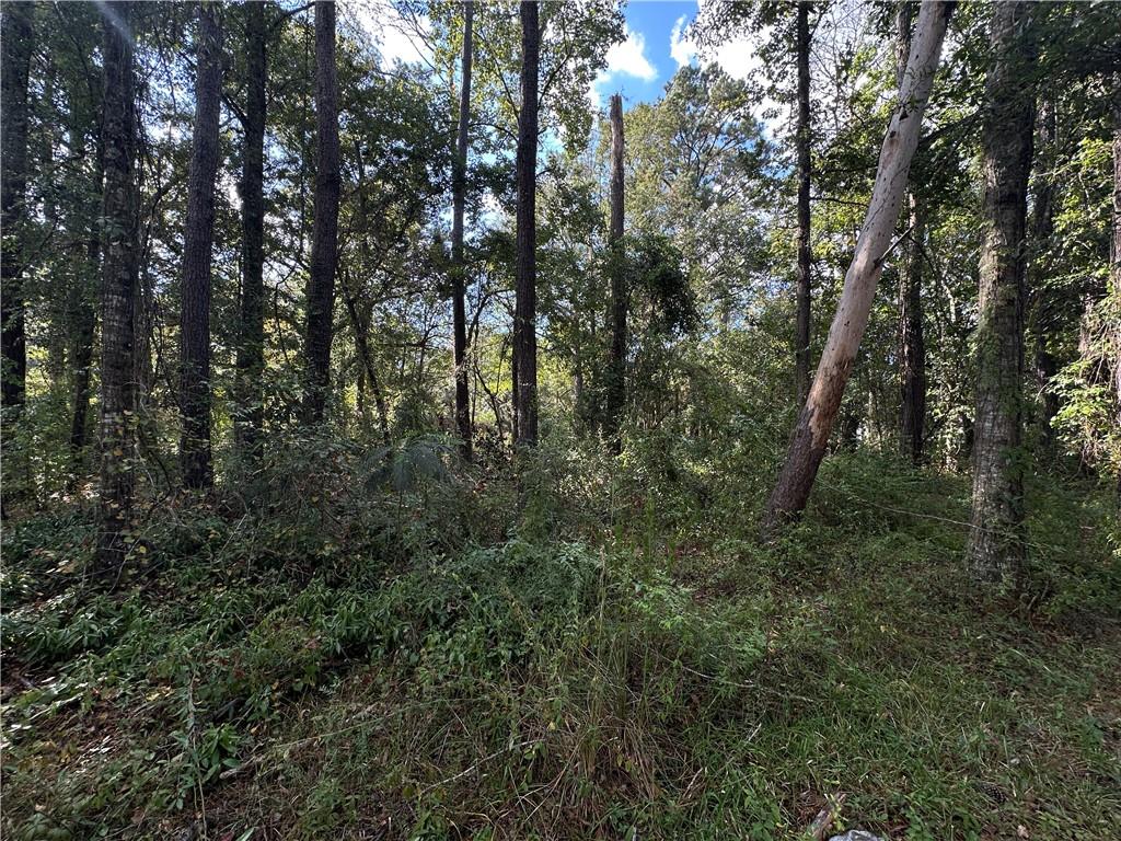 Lot 36 Carnation Street Covington, LA 70435 - Photo 3 of 5