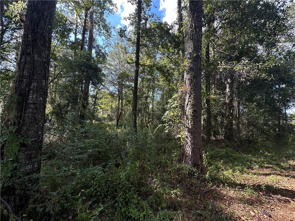 Lot 36 Carnation Street Covington, LA 70435 - Photo 4 of 5