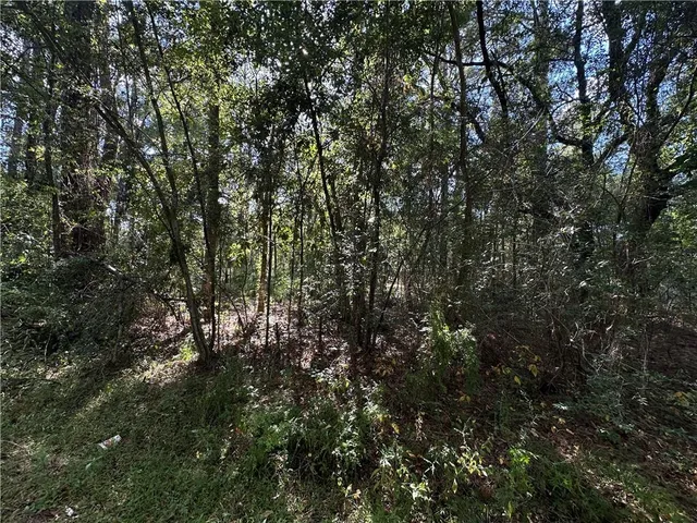 $25,000 | Lot 36 Carnation Street, Covington, LA 70435