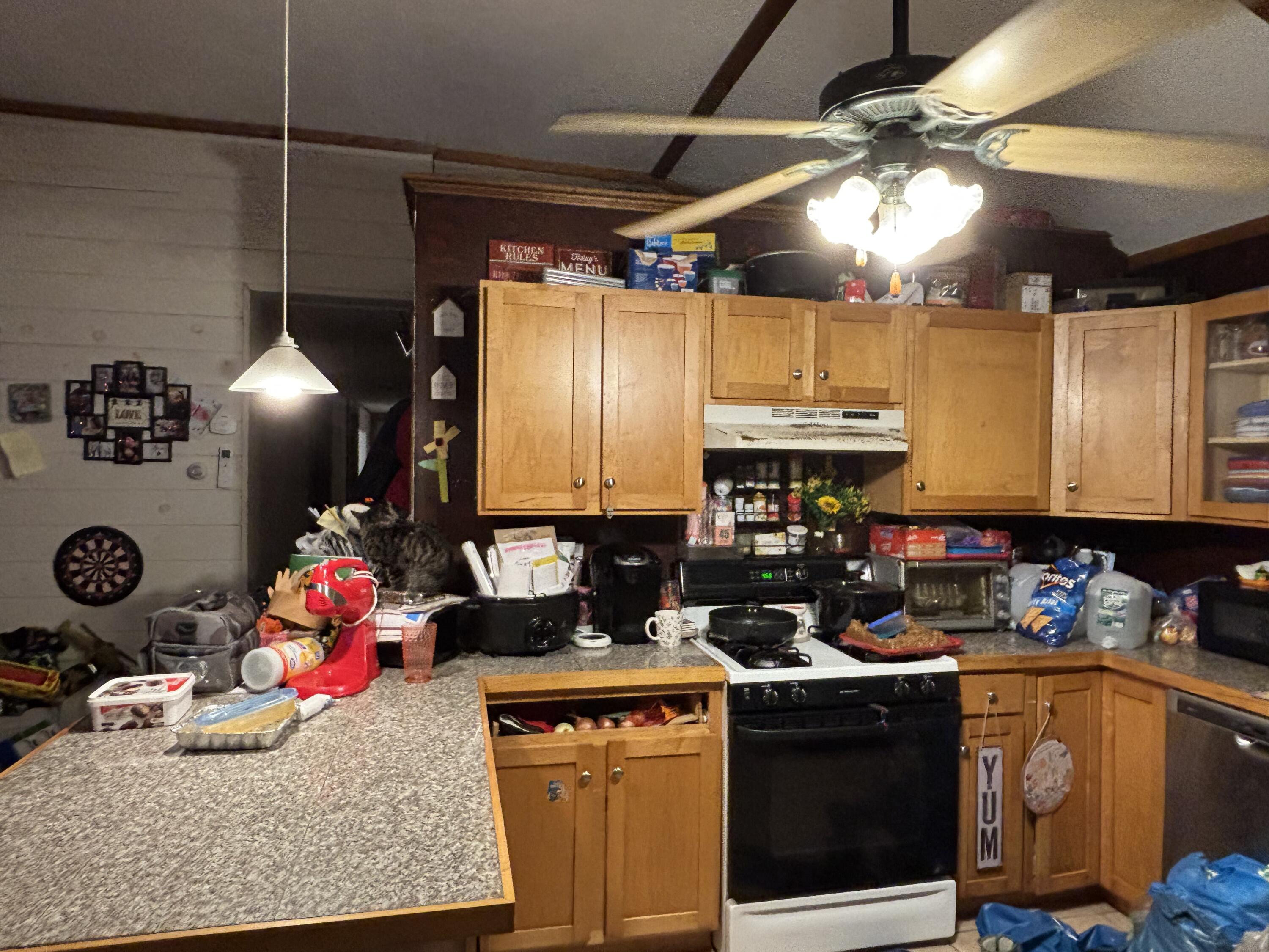 135 Loop Road North Searsport, ME 04974 - Photo 7 of 11 IMG_6073