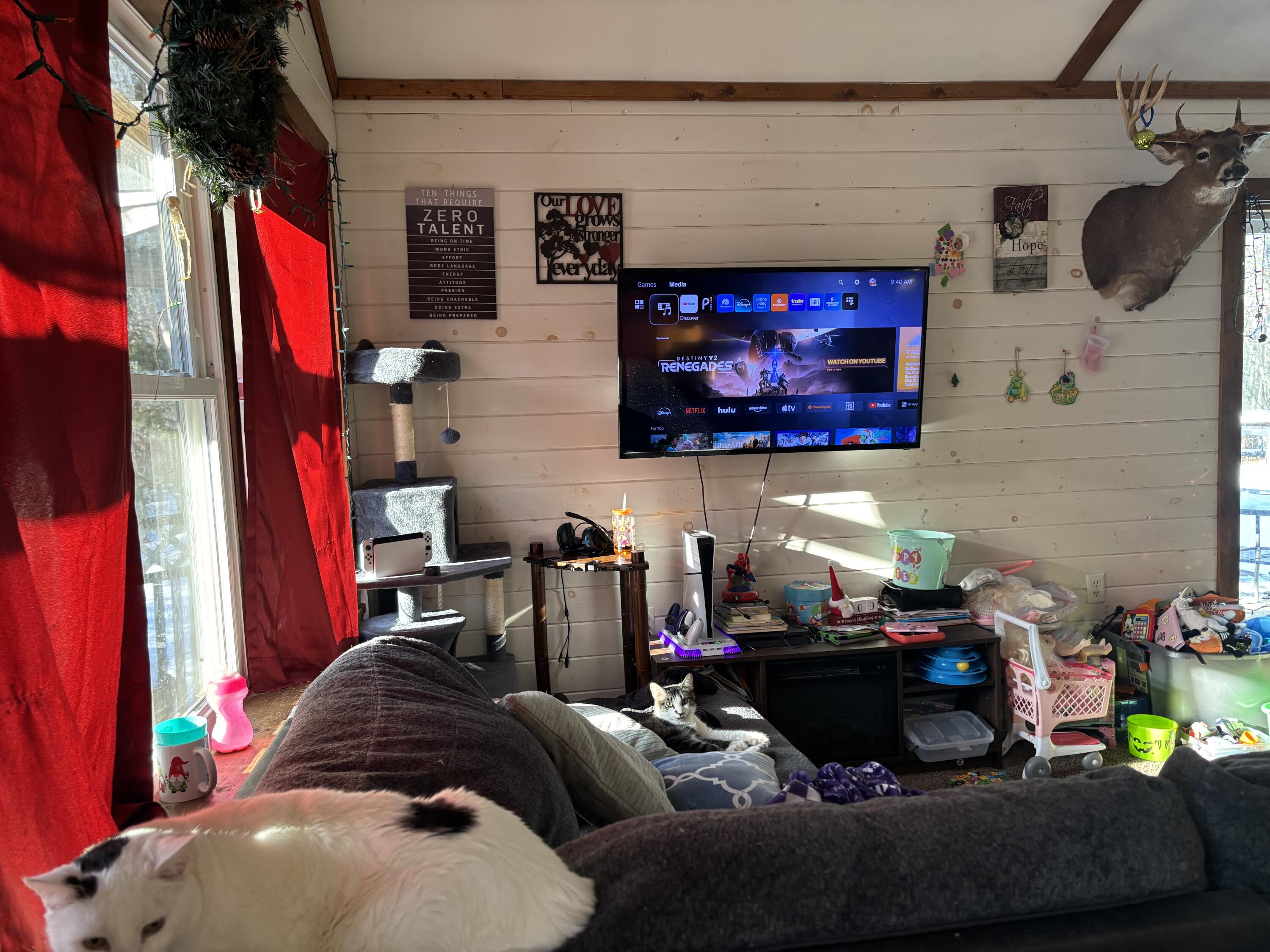 135 Loop Road North Searsport, ME 04974 - Photo 9 of 11 IMG_4387