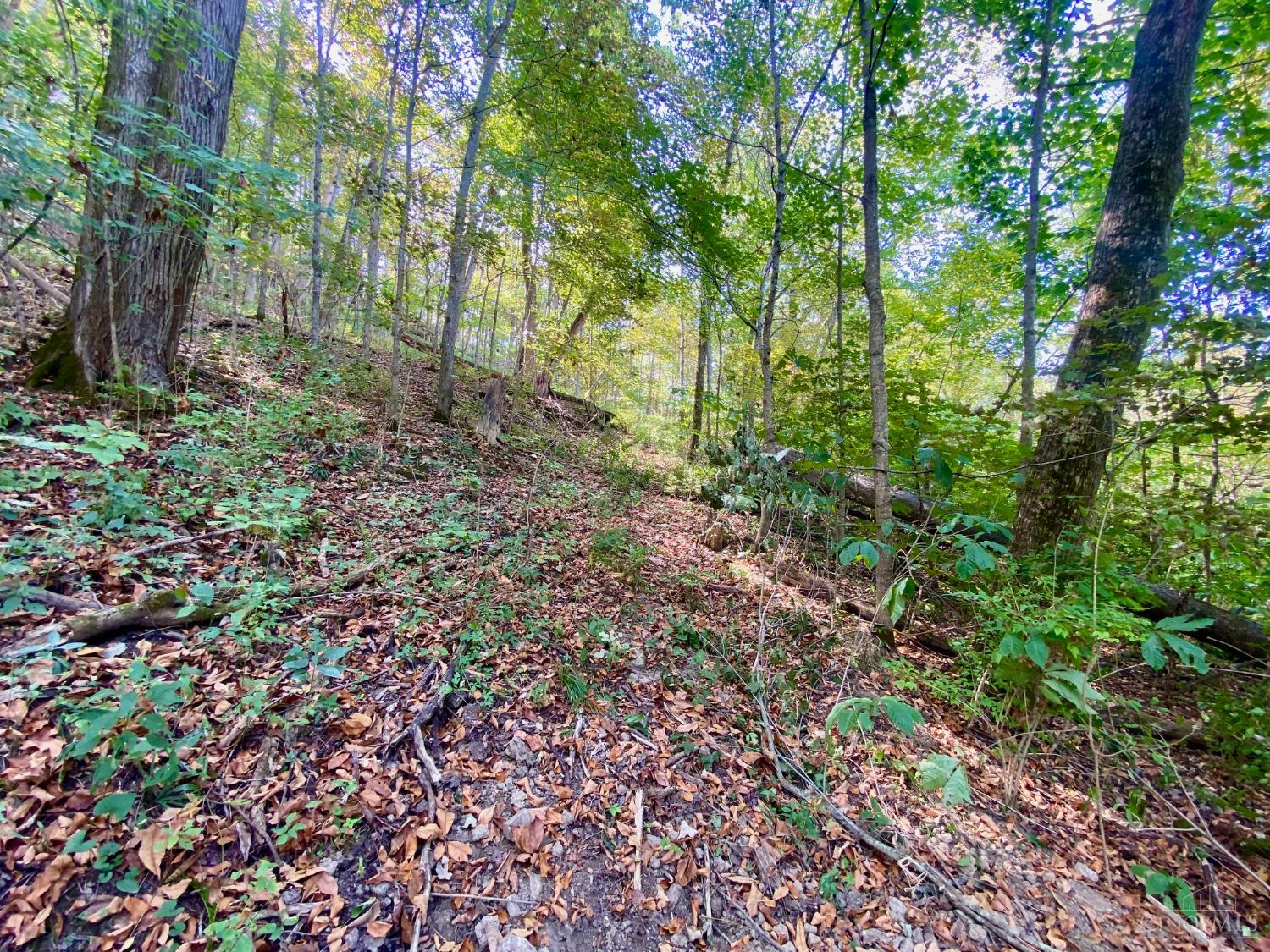 Ac Eagle Creek Road Ripley, OH 45167 - Photo 5 of 12