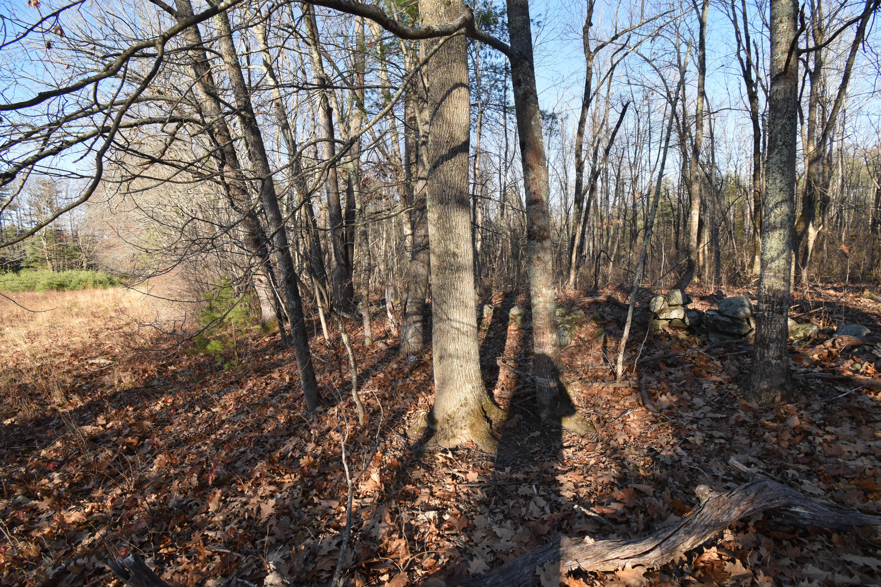 0 Lunts Hill Road Litchfield, ME 04350 - Photo 68 of 80 DSC_0919