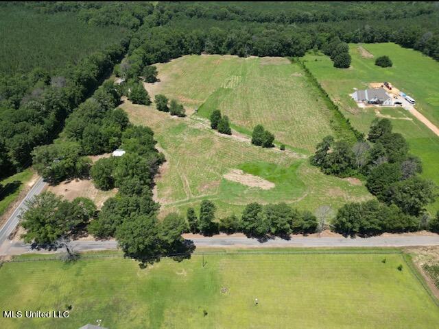 Lewis Prestage Rd Road Pelahatchie, MS 39145 - Photo 5 of 5 IMG_0662