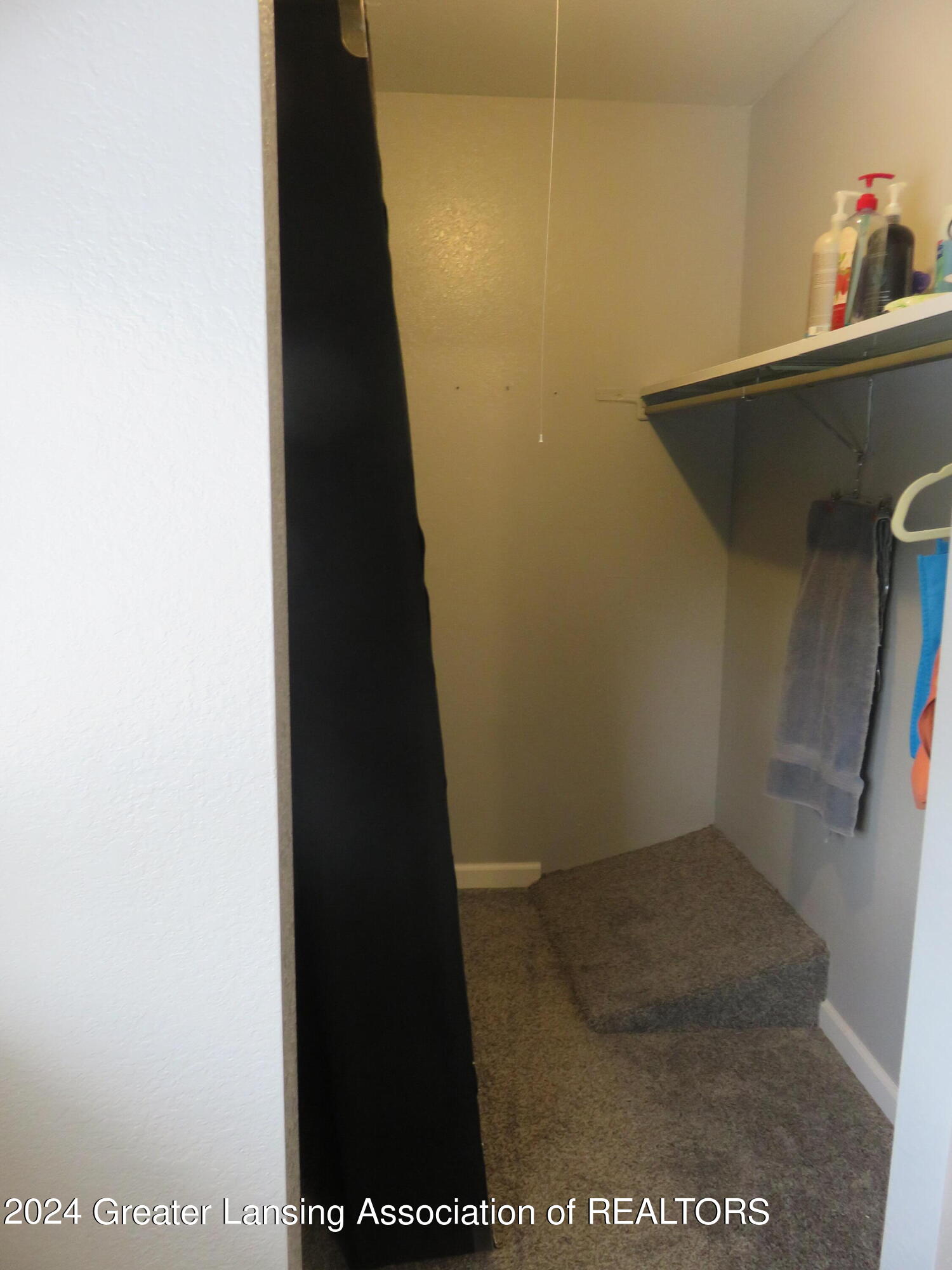3950 Hunters Ridge Drive, Unit 3 Lansing, MI 48911 - Photo 20 of 34 IMG_3812