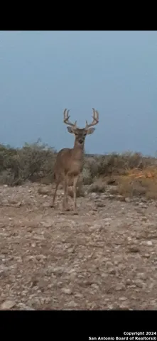 $483,750 | Tbd Pumpville Road, Ozona, TX 78851