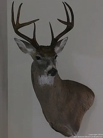 $483,750 | Tbd Pumpville Road, Ozona, TX 78851