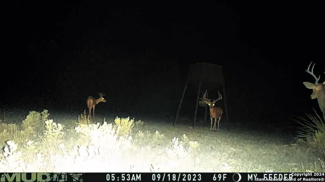 $483,750 | Tbd Pumpville Road, Ozona, TX 78851