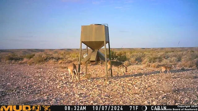 $483,750 | Tbd Pumpville Road, Ozona, TX 78851