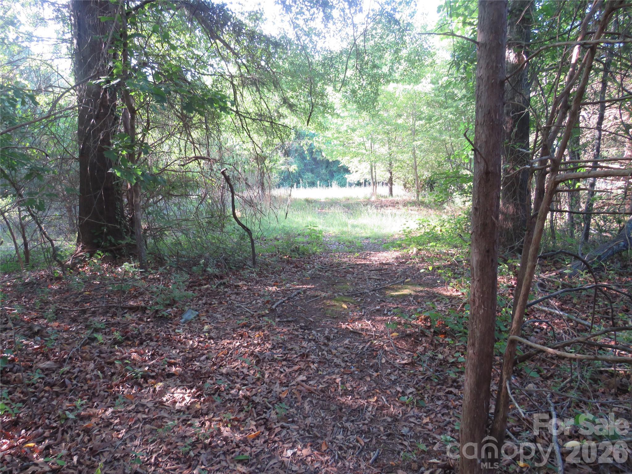 262 Flat Rock Road Forest City, NC 28043 - Photo 37 of 41