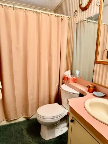 a bathroom with a sink a toilet and shower curtain