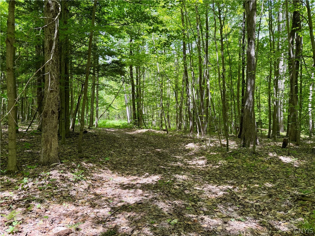 6229 Isenecker Road Leyden, NY 13309 - Photo 38 of 44 Paths throughout the property