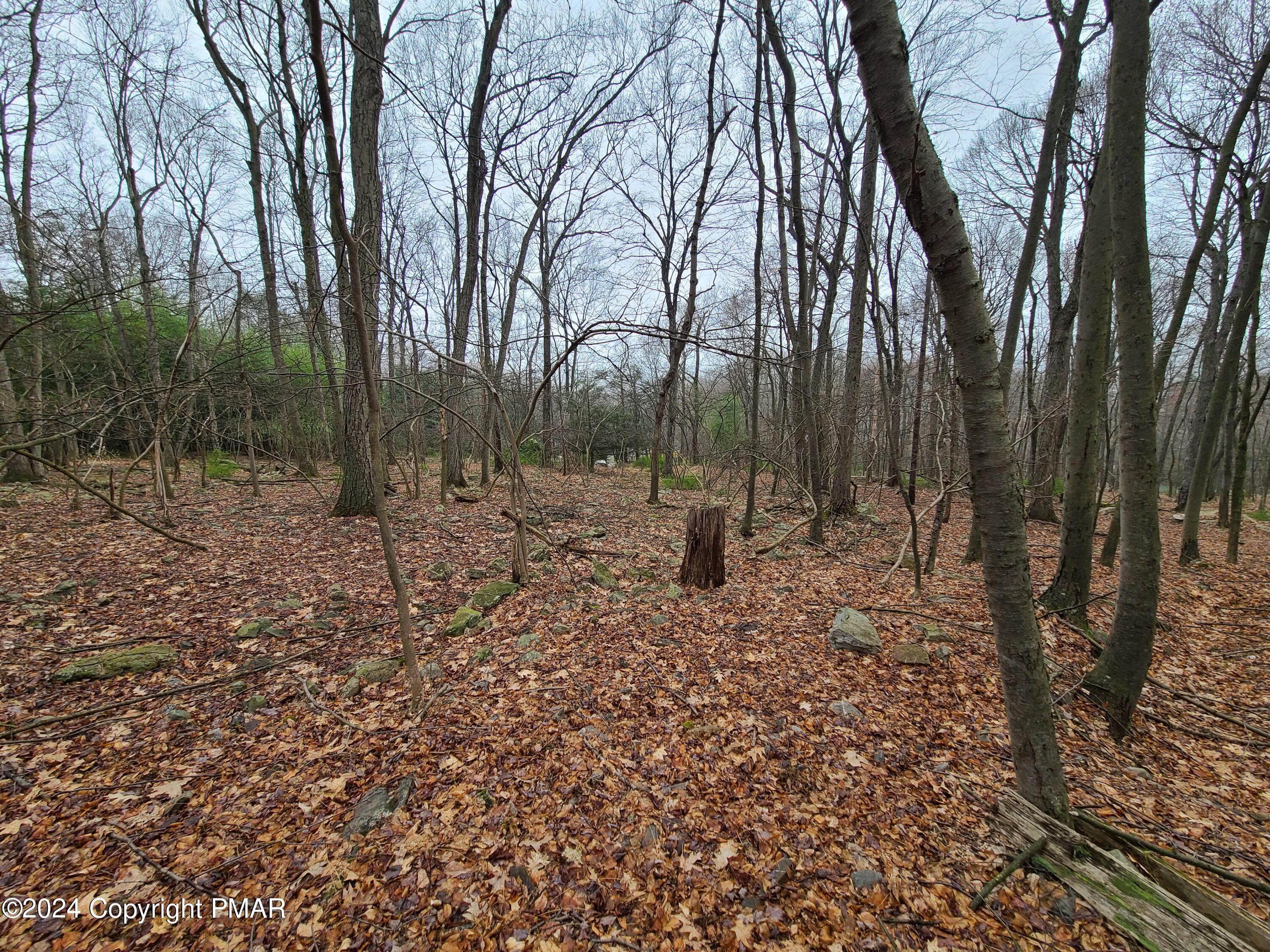 2372 Point Phillips Road Kunkletown, PA 18058 - Photo 3 of 10 a view of outdoor space with trees