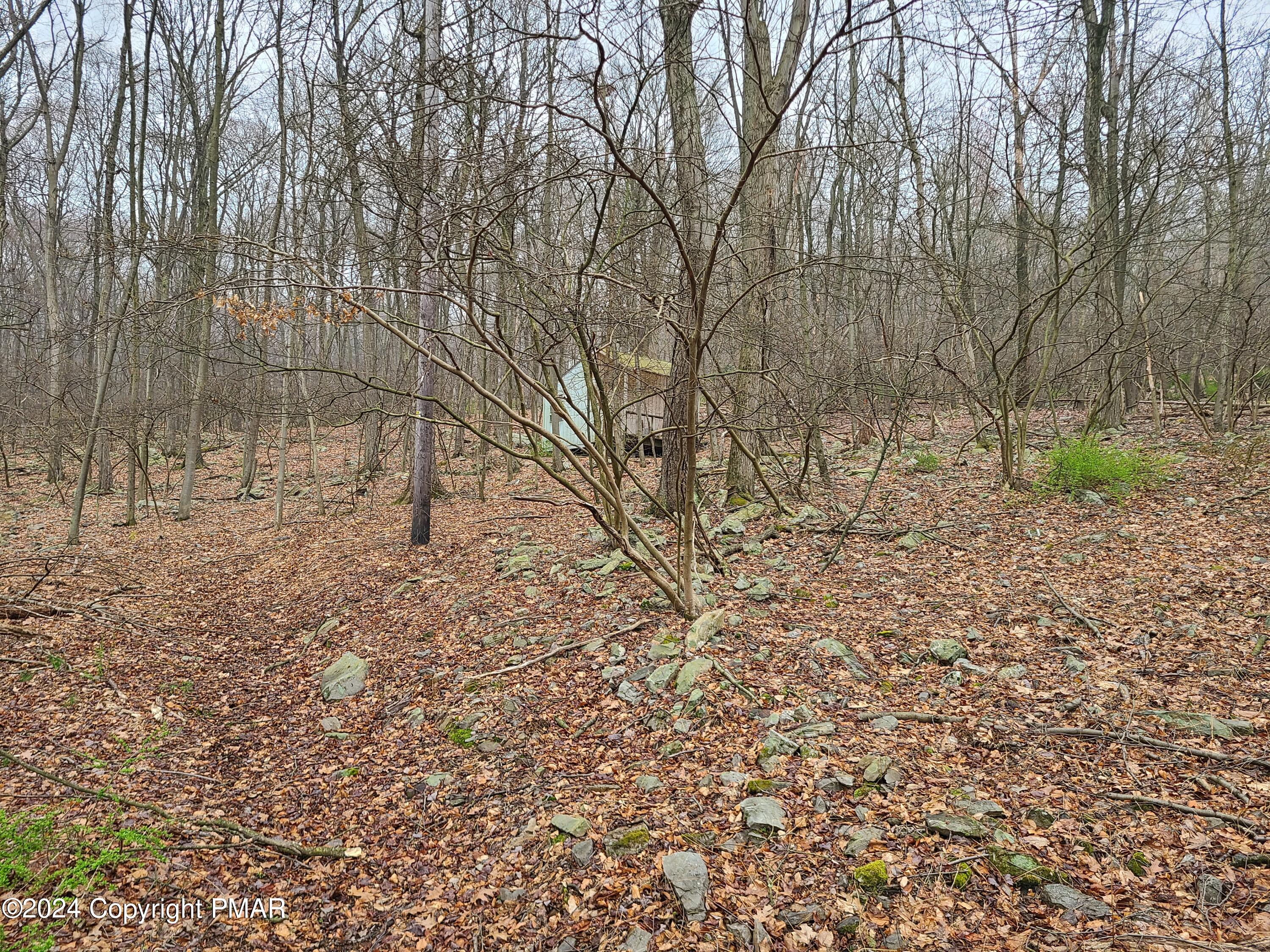 2372 Point Phillips Road Kunkletown, PA 18058 - Photo 8 of 10 a view of a yard with large trees