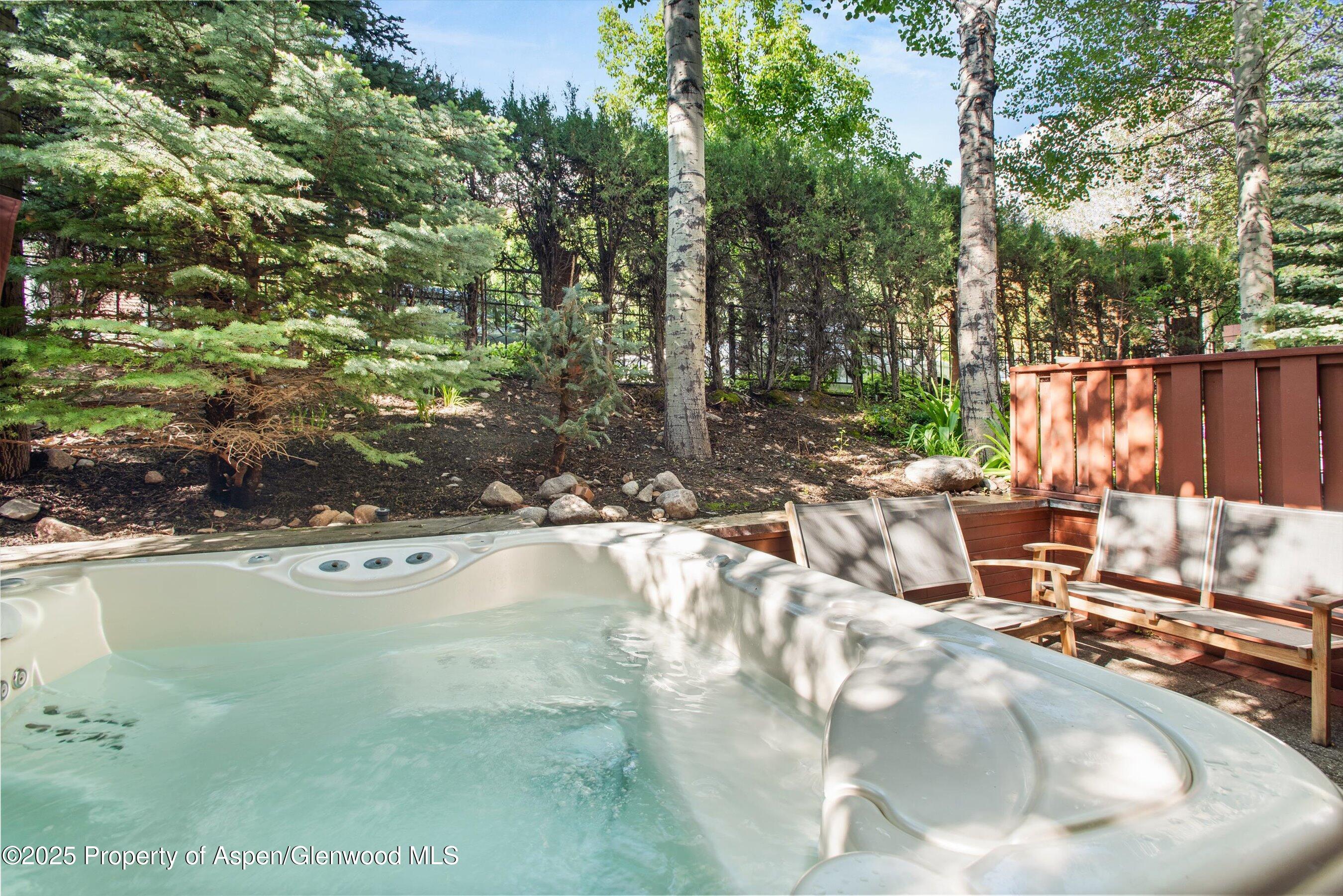 706 East Hyman Avenue, Unit 706 Aspen, CO 81611 - Photo 36 of 46 a view of swimming pool with outdoor seating and plants