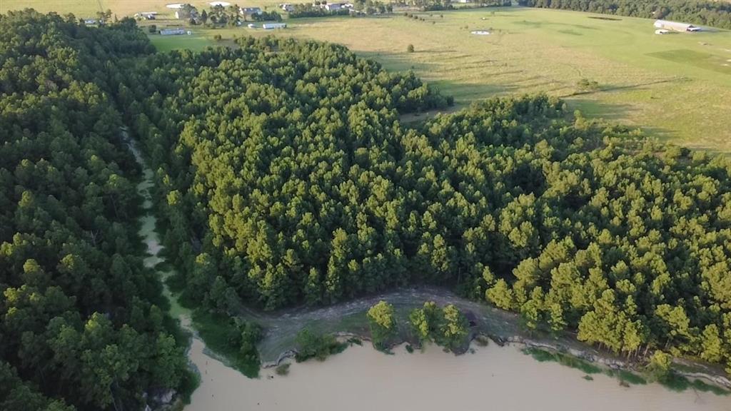 Tbd Parish Line Road Kinder, LA 70648 - Photo 10 of 10