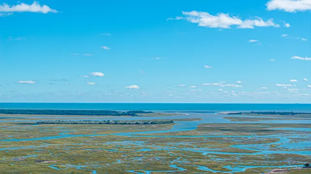 $600,000 | 3809 Tim Ascue Lane, Mount Pleasant, SC 29429