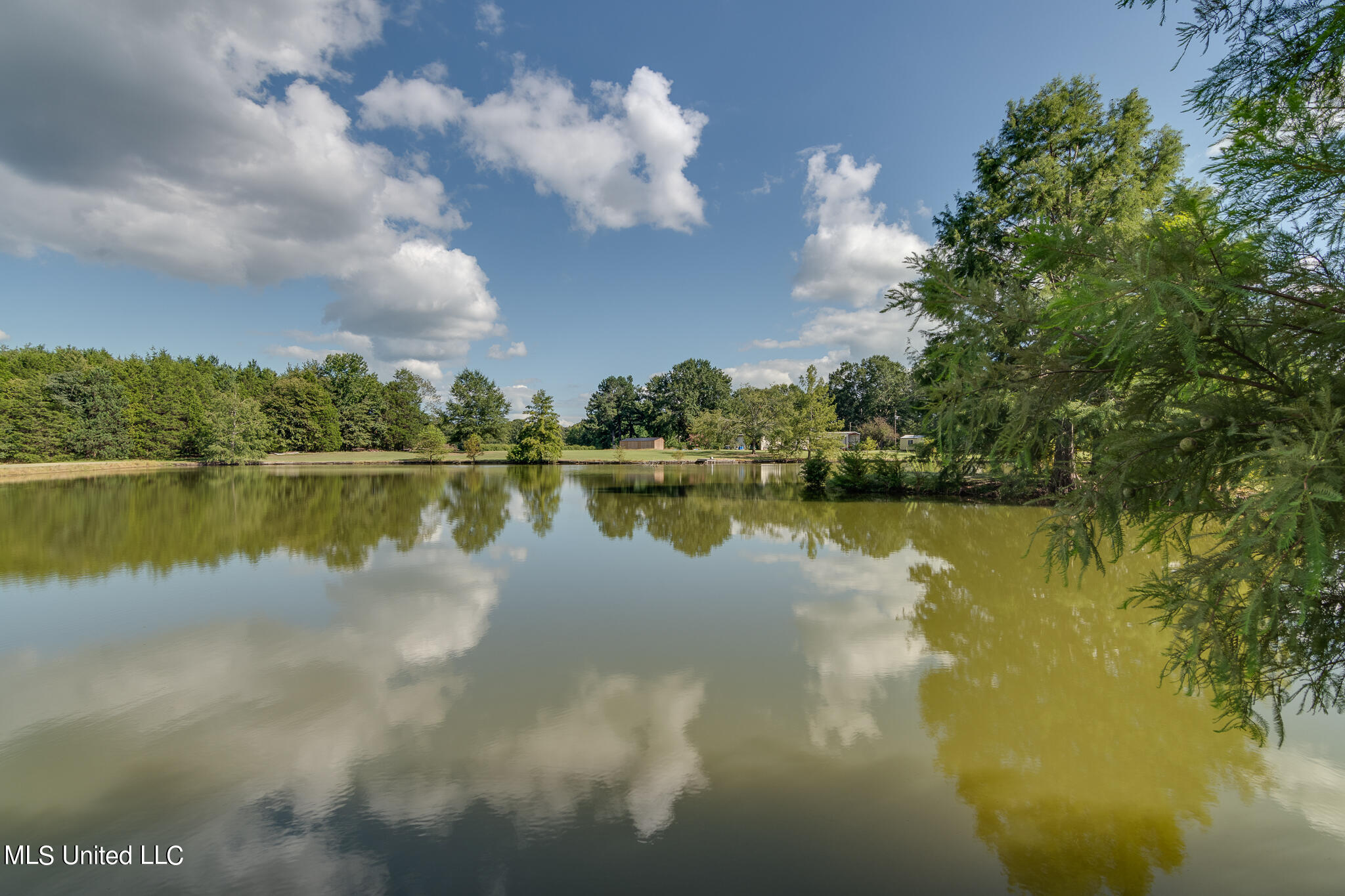 634 Carey Chapel Road Red Banks, MS 38661 - Photo 32 of 33 shared pond