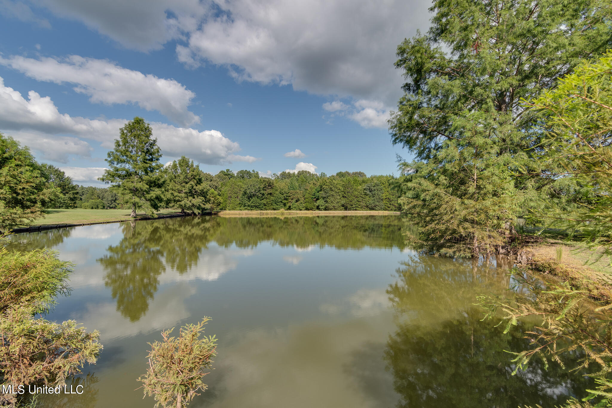 634 Carey Chapel Road Red Banks, MS 38661 - Photo 33 of 33 shared pond