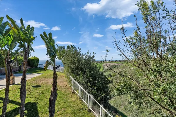a view of a yard with a tree