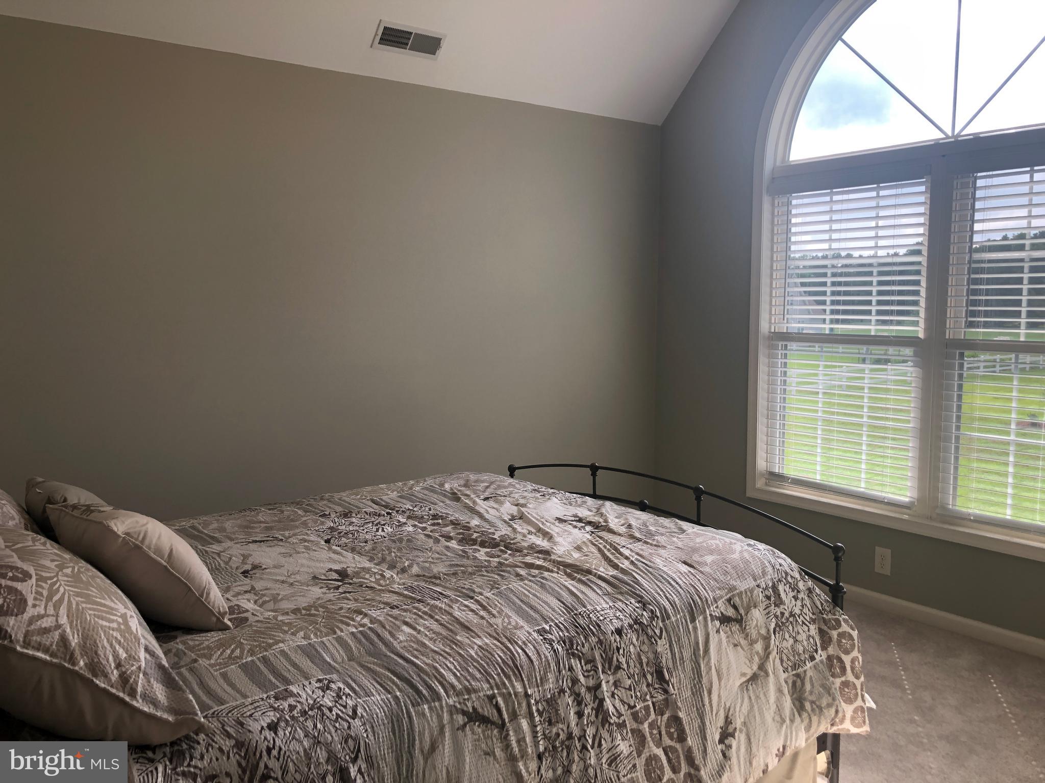 10211 Hammond Road Bishopville, MD 21813 - Photo 34 of 39 Gallery Image 34