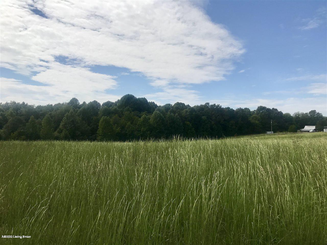 177 Allen Road Brandenburg, KY 40108 - Photo 31 of 33 10051795-30