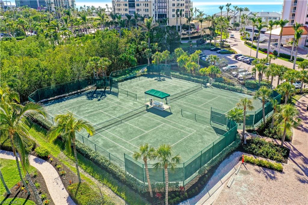 20 Seagate Drive, Unit 1102 Naples, FL 34103 - Photo 19 of 40 a view of a backyard
