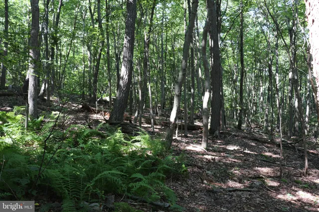 a view of outdoor space and green space