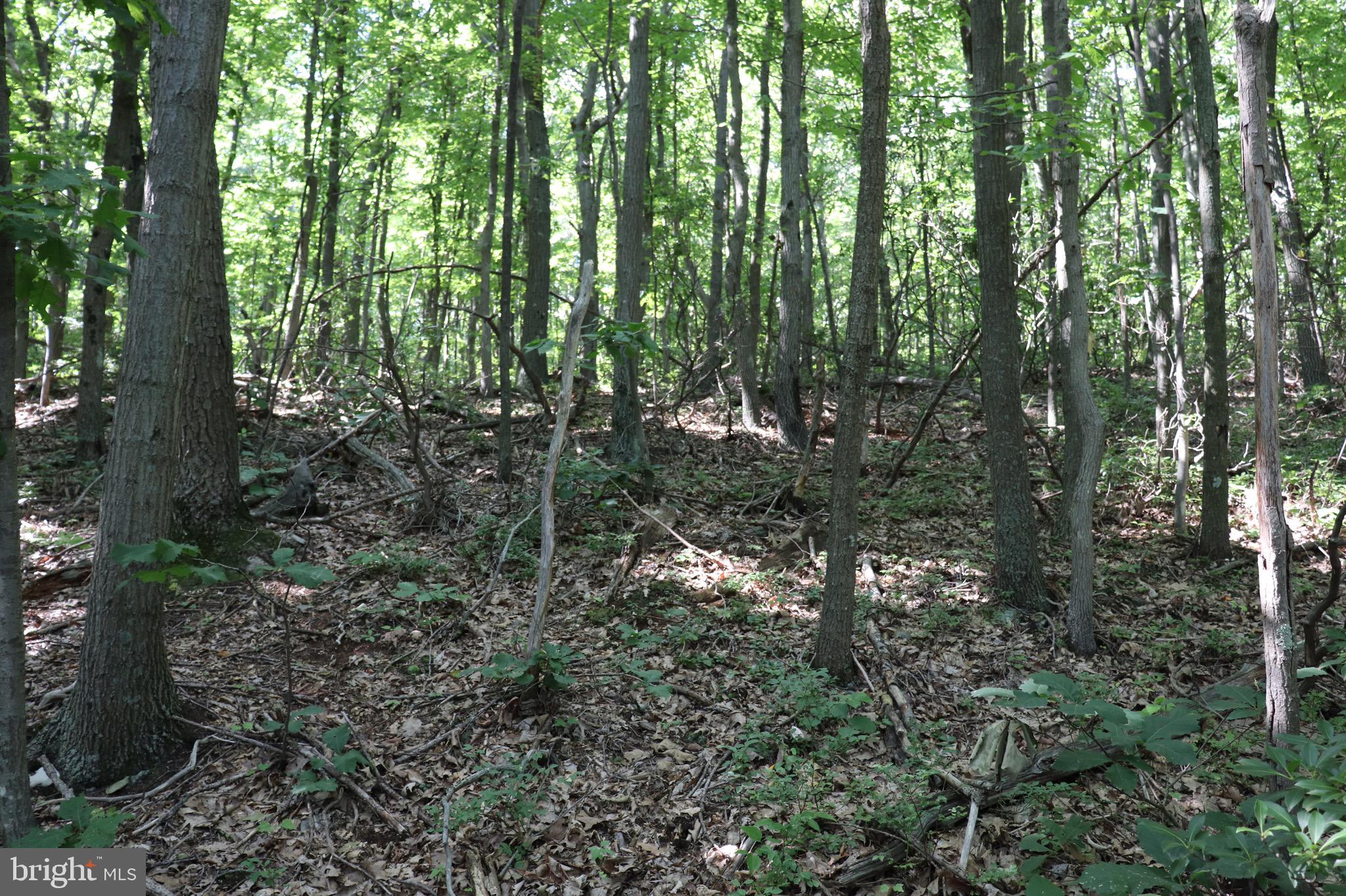 312 Ridge Run Claysburg, PA 16625 - Photo 4 of 4