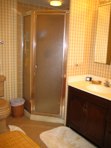 1140 Old Mill Road, Unit 504F Hinsdale, IL 60521 - Photo 18 of 21 a bathroom with a sink and a mirror