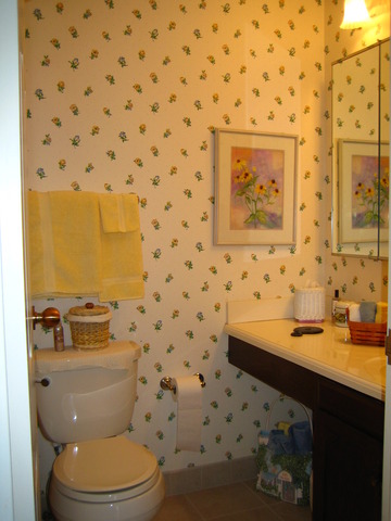 1140 Old Mill Road, Unit 504F Hinsdale, IL 60521 - Photo 10 of 21 a bathroom with a sink toilet and shower