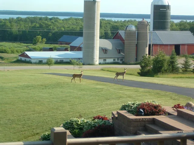 $624,900 | W5735 County Road East, Shawano, WI 54166