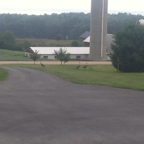 $624,900 | W5735 County Road East, Shawano, WI 54166