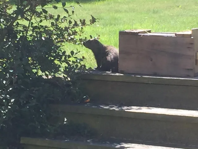 $624,900 | W5735 County Road East, Shawano, WI 54166