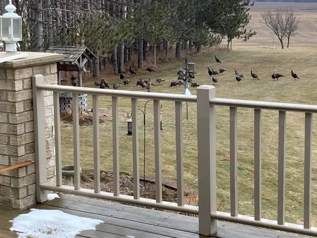 $624,900 | W5735 County Road East, Shawano, WI 54166