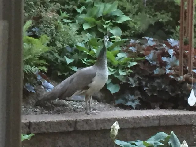 $624,900 | W5735 County Road East, Shawano, WI 54166